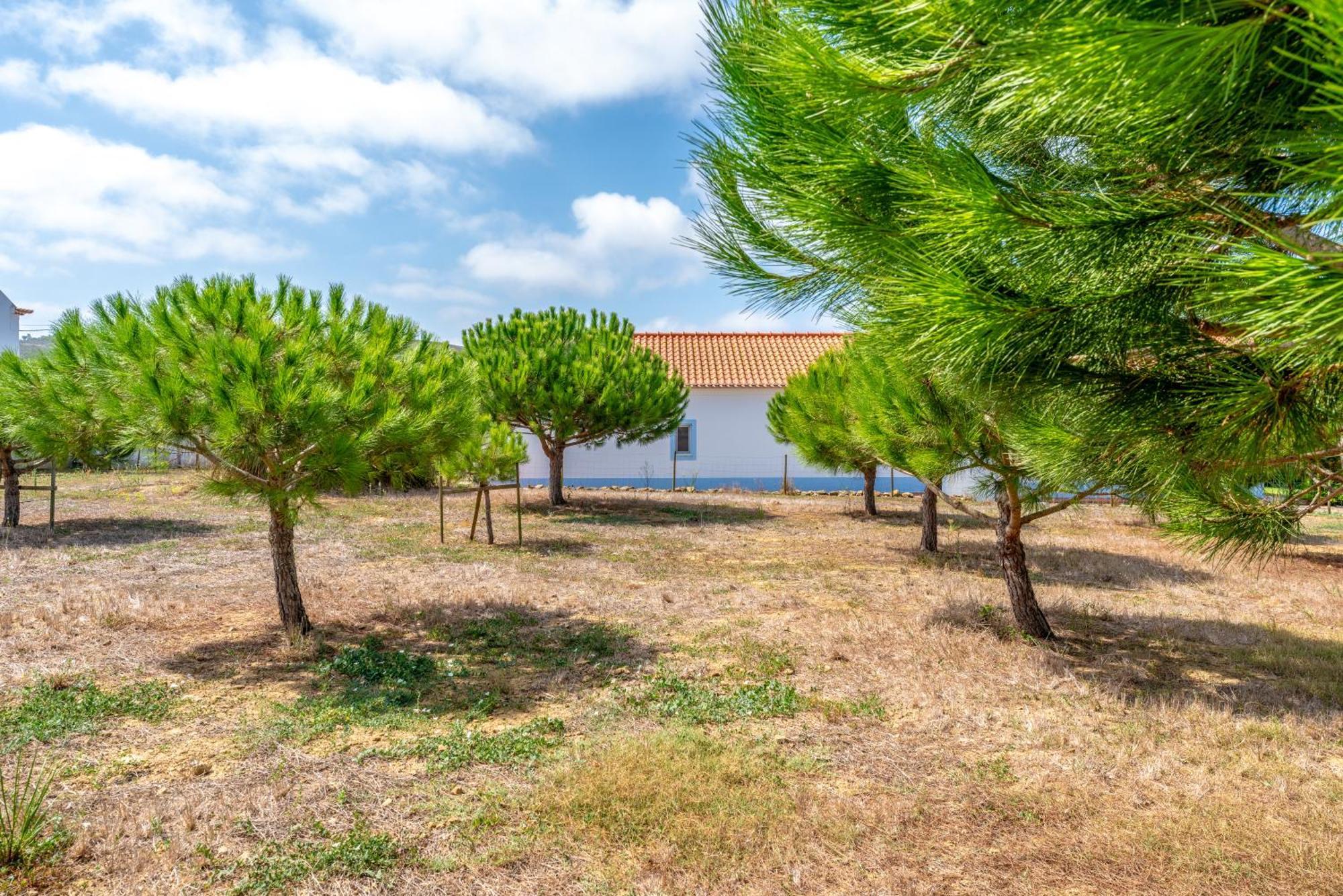 Villa Quinta Da Bela Vista - Ericeira Galiza Exterior foto